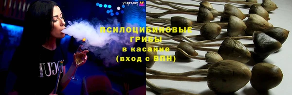 ГАЛЛЮЦИНОГЕННЫЕ ГРИБЫ Волоколамск