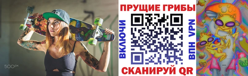 Галлюциногенные грибы ЛСД  где купить наркотик  Каменск-Шахтинский 